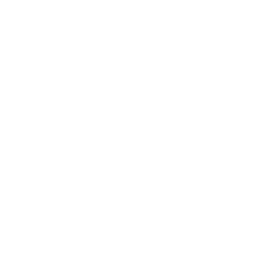 The Black Cactus Studio - Logo